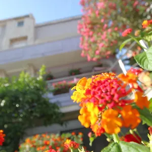 Apartment Pejic Pula